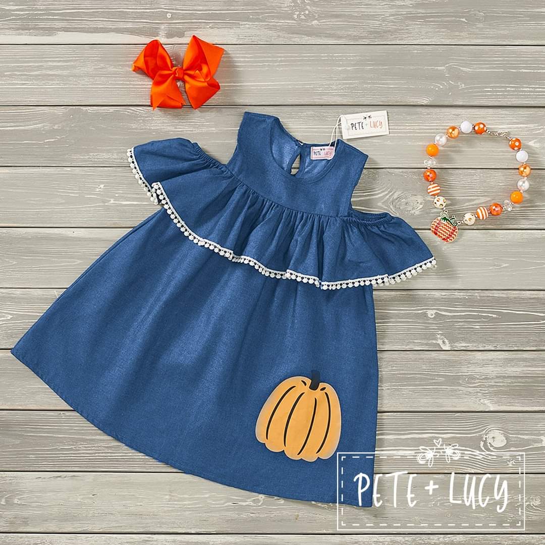 Fall Denim Collection Child's Dress